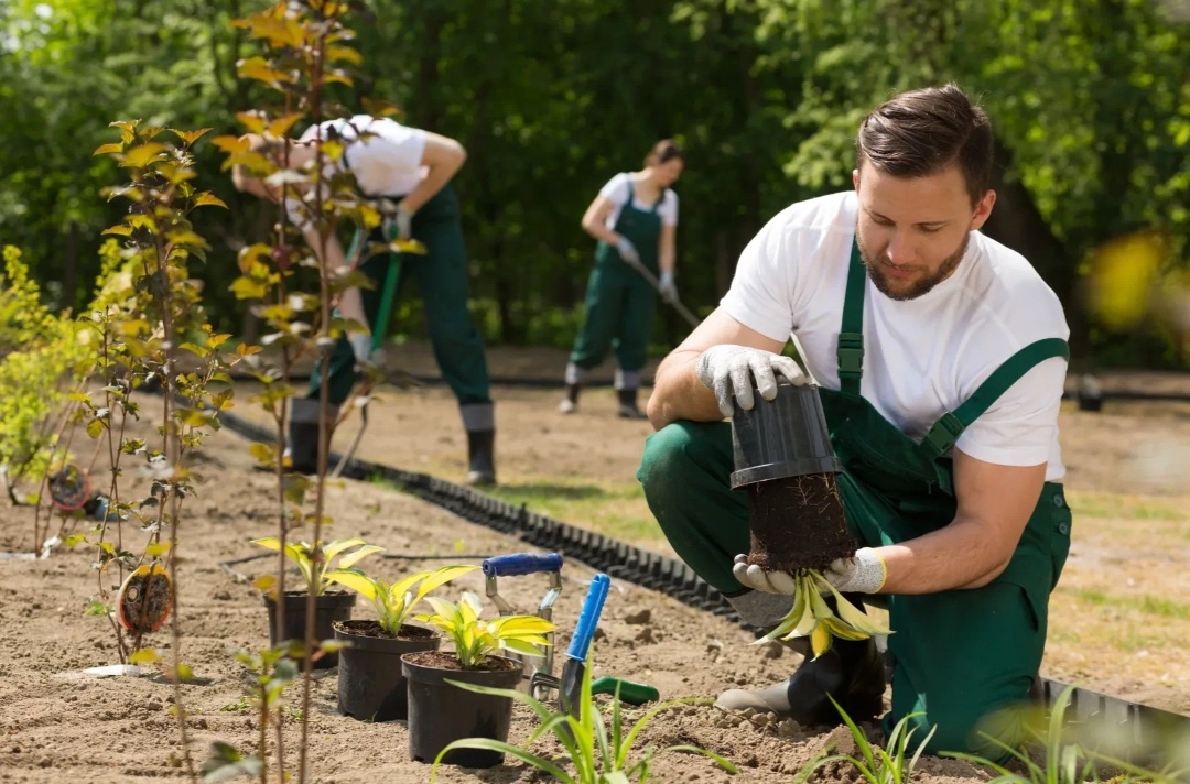 Фото из интернета 