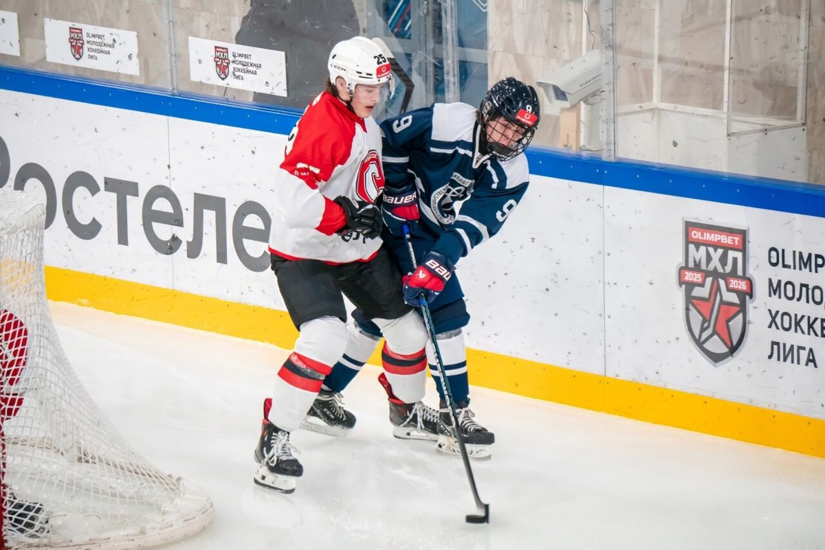    Фото: МХК «Динамо- Карелия» / ВК