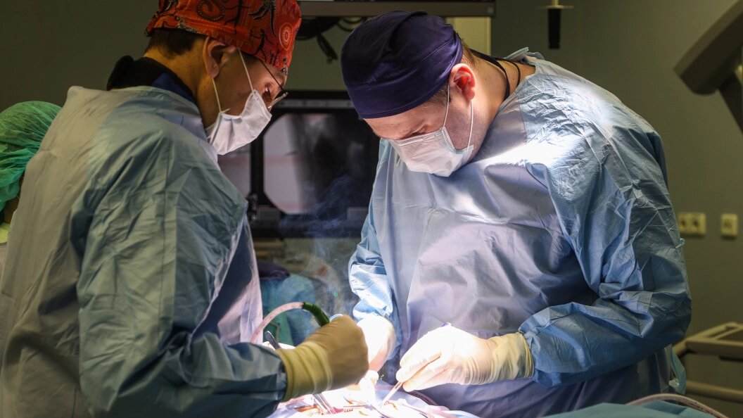    © Bulkin Sergey/Globallookpress