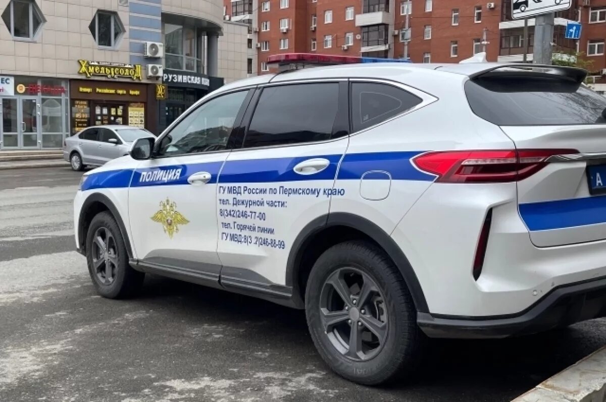    В МВД рассказали подробности ДТП с пострадавшим в Перми