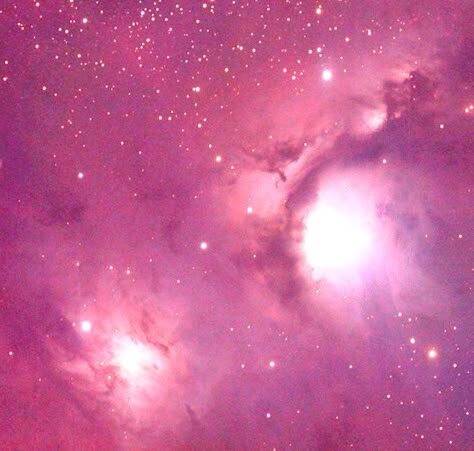 Розовый космос.