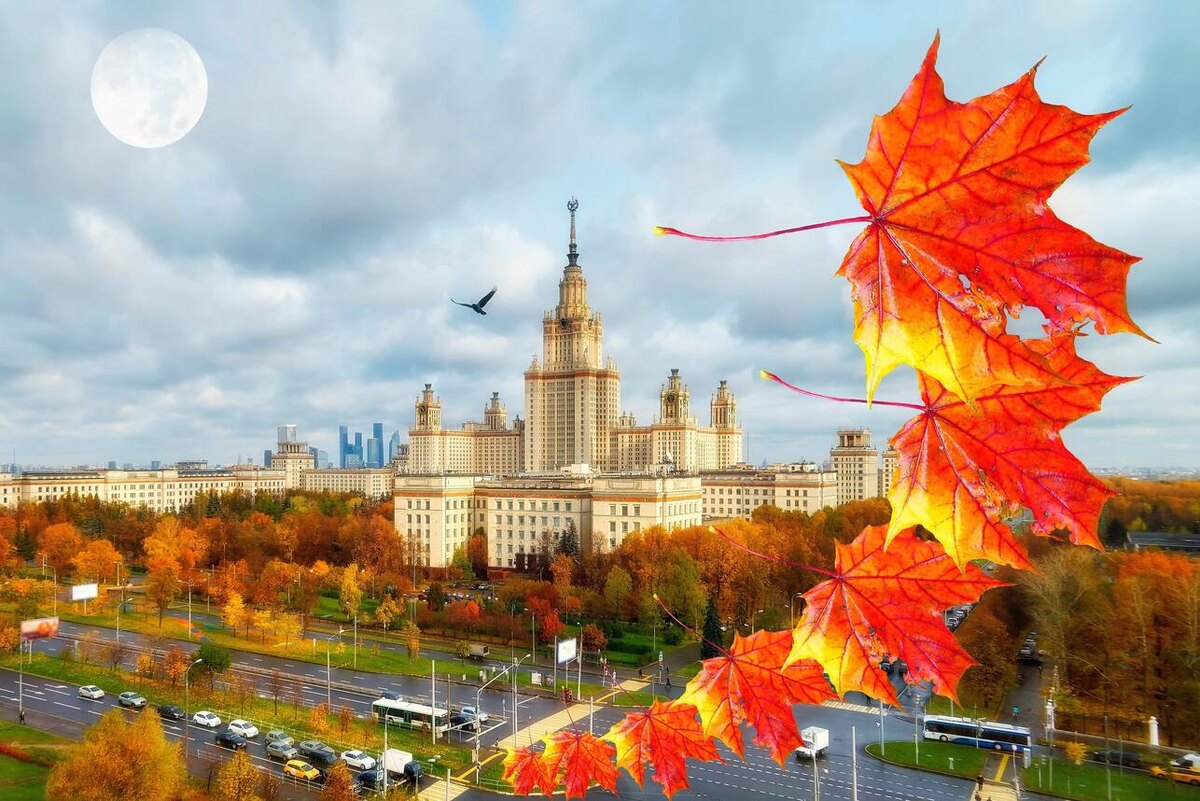    Осень. 123RF/legion-media.ru