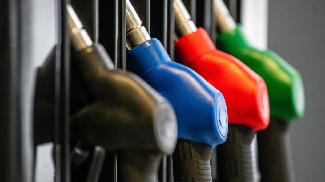    Фото: Ilya Moskovets/URA.RU/Globallookpress