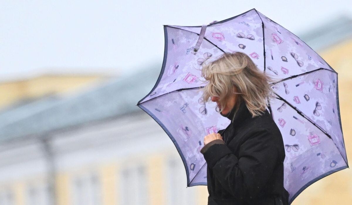     Непогода. Источник: © РИА Новости Автор фото: Кирилл Каллиников