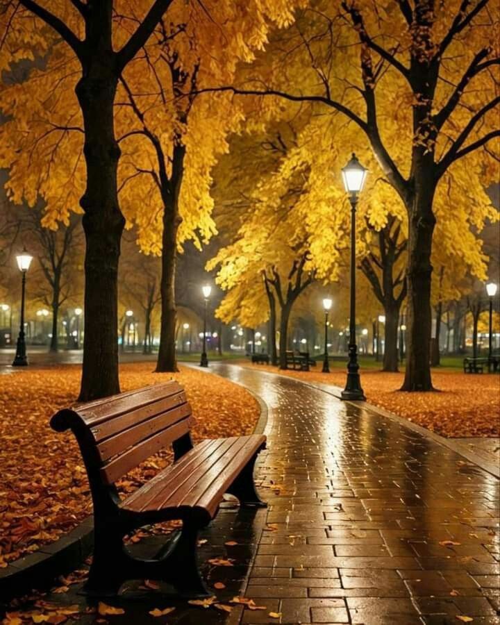 Фото взято из открытых источников