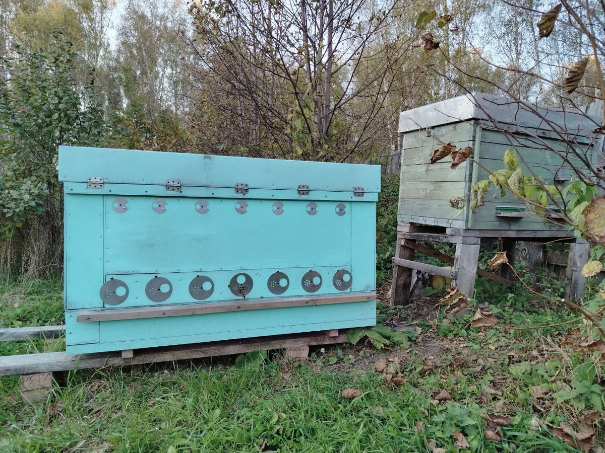 Слева на право: Русский улей-лежак на 32 рамки и Обычный лежак на 24 рамки. Рамки в обоих ульях увеличенные 470 на 460 мм