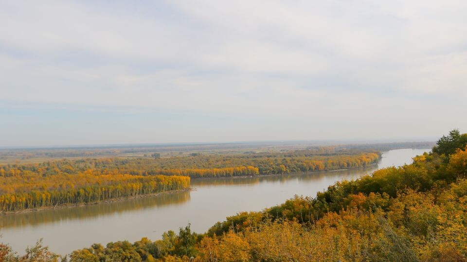    Осень 2025 в Нахаловке. Источник: Виталий Барабаш/"Толк"