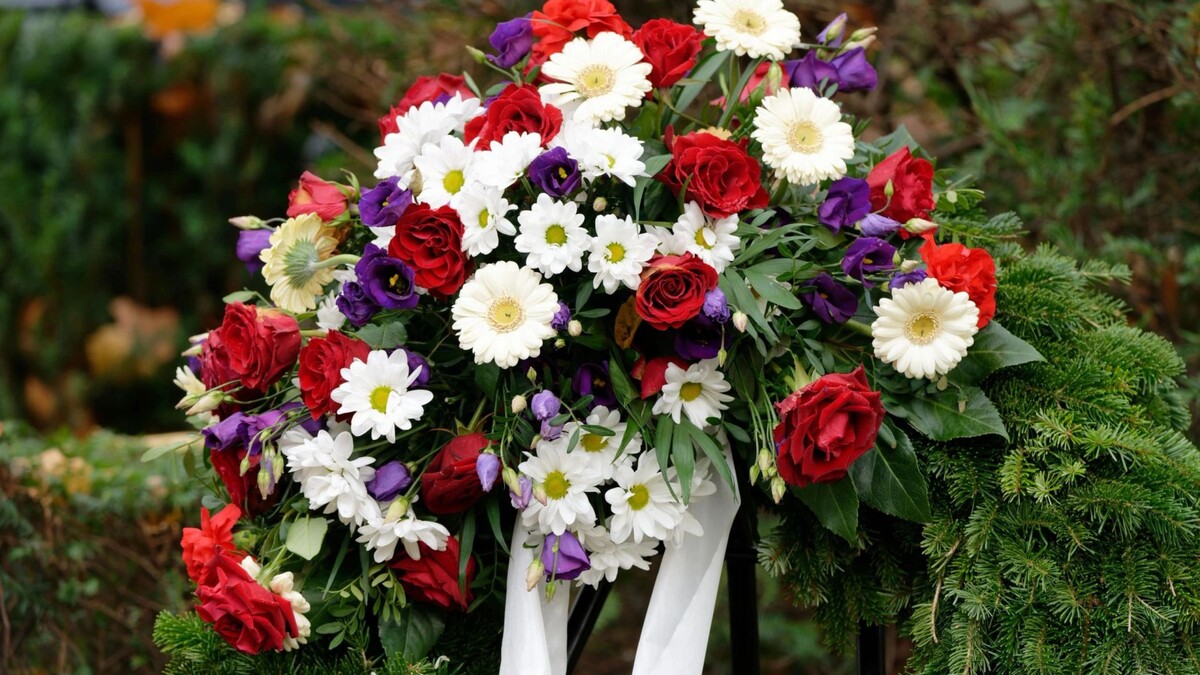    Фото: gerd-harder/Shutterstock/Fotodom