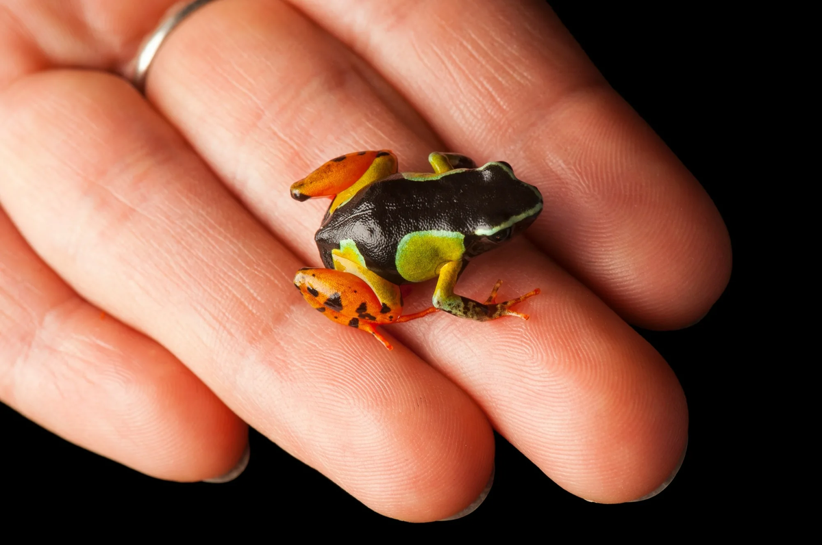 Изображение из открытых источников