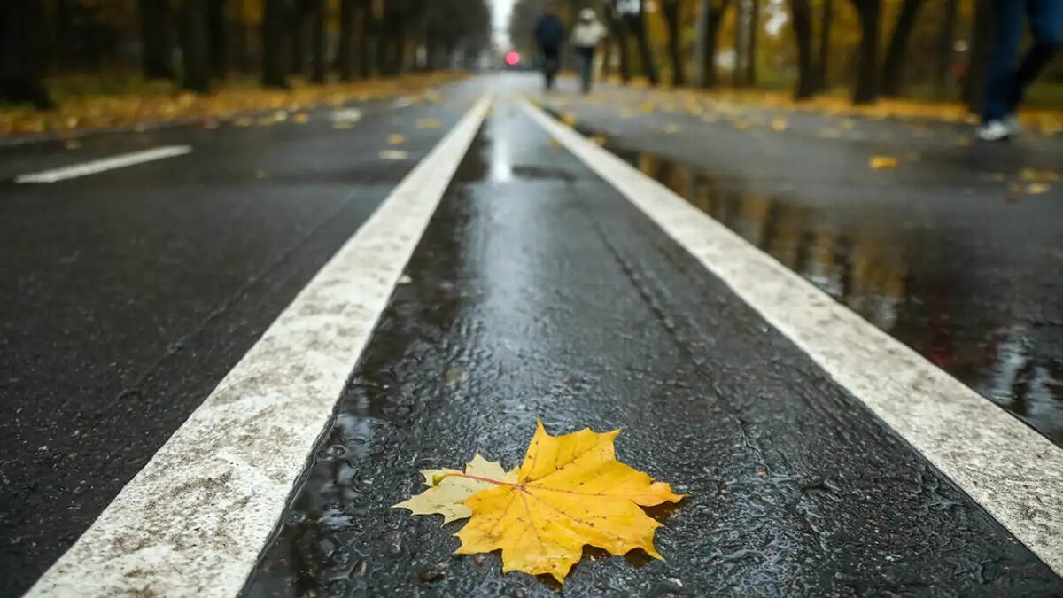    Погода в Москве. Артур Новосильцев / АГН Москва