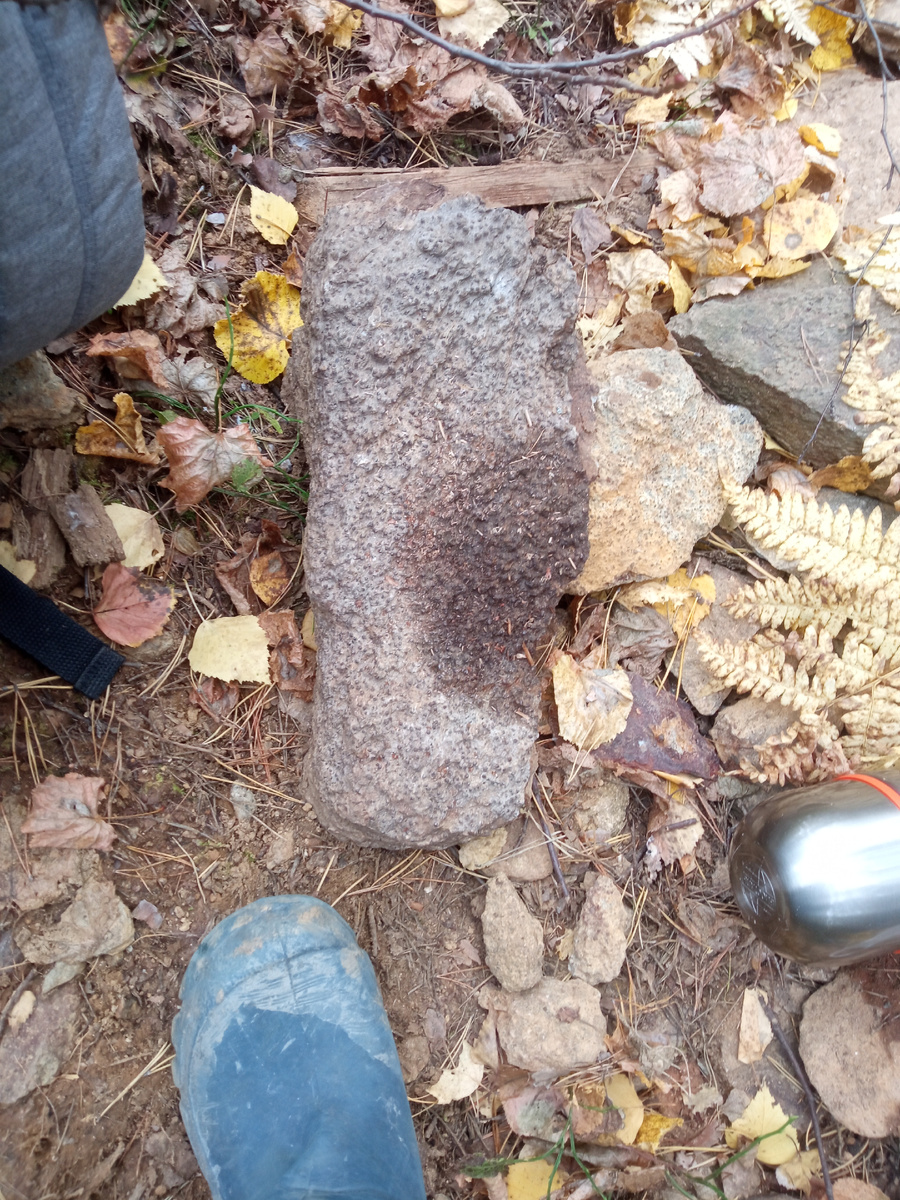 Гранатовая друзочка.