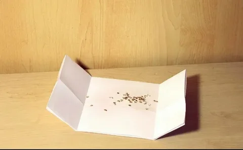 заготовка семян 