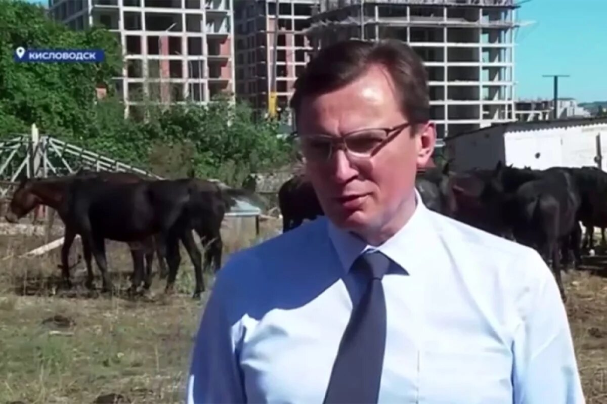    Мэр Кисловодска предложил повысить штрафы за стихийный выпас и прогон скота