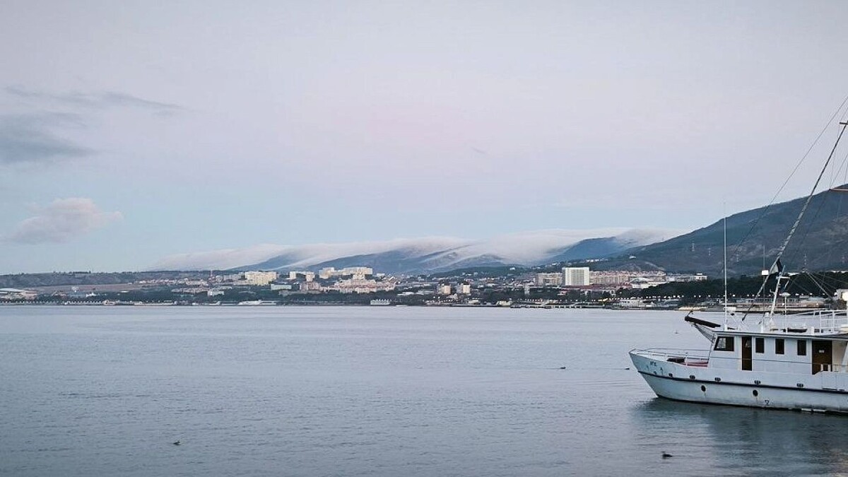    Фото: телеканал «Краснодар»