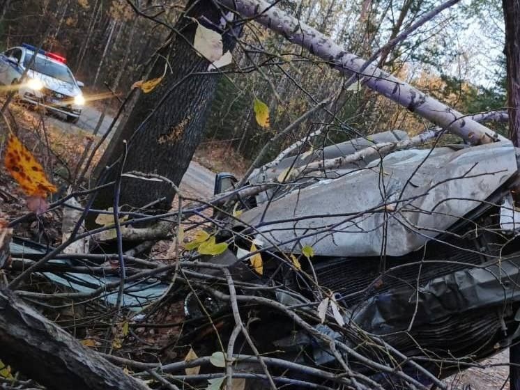     Фото: Госавтоинспекция Свердловской области