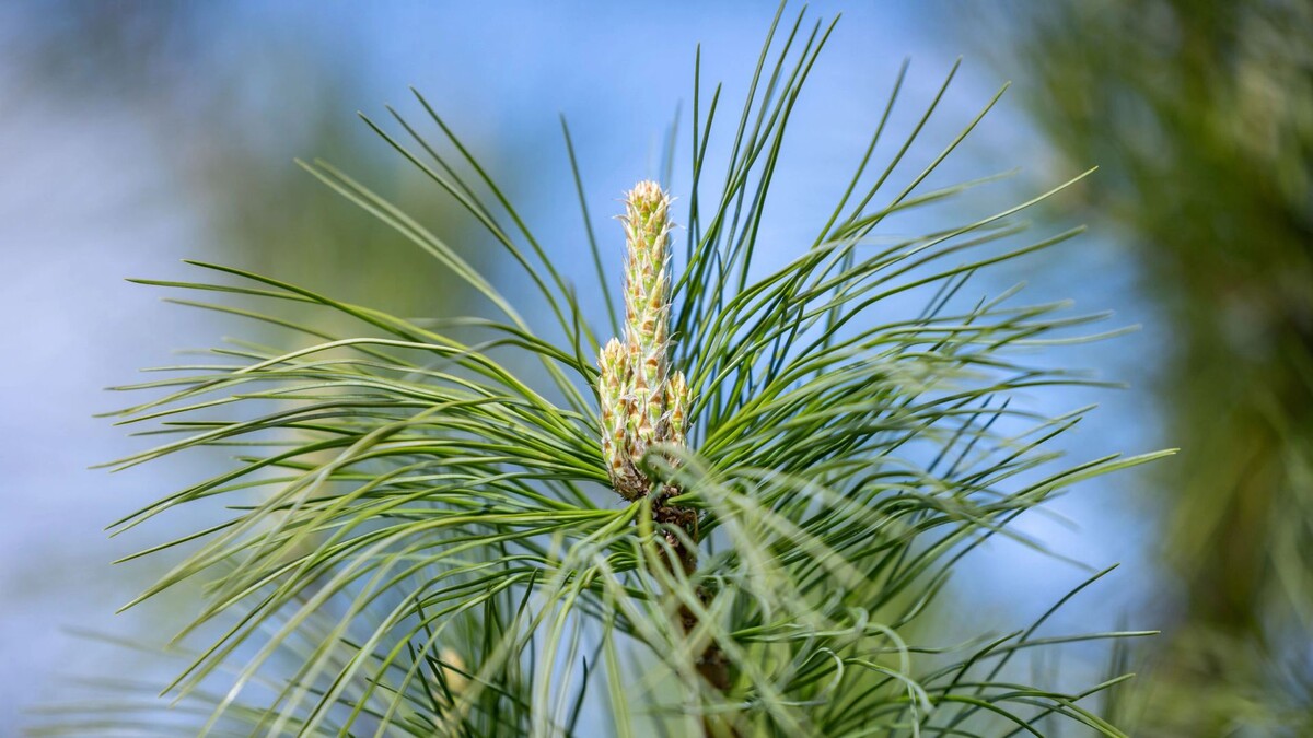    Фото: Федор Воронов / «Ямал-Медиа»