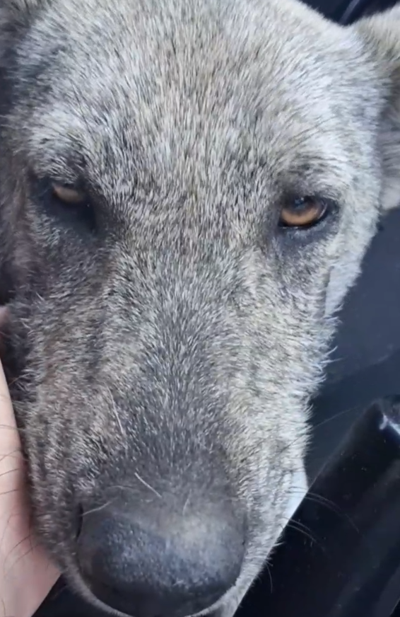 Поехали в клинику