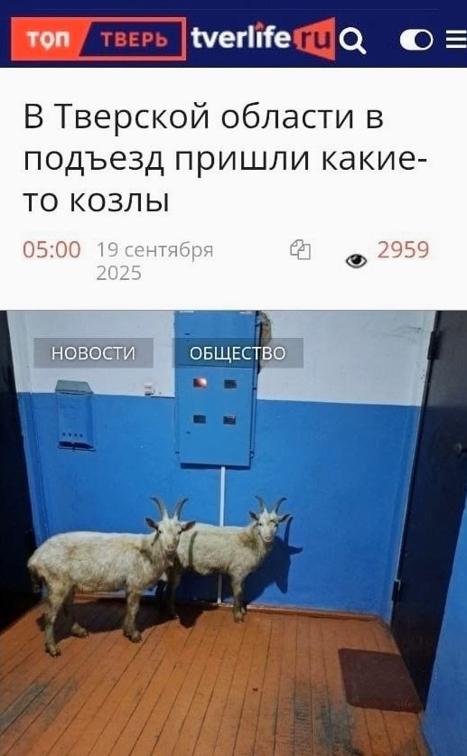 Горячие новости из Твери