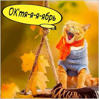 изображение из открытых источников