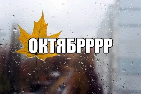 изображение из открытых источников