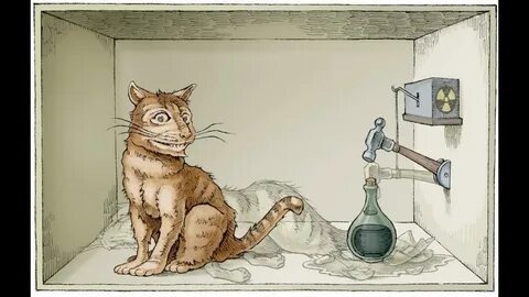 Кот Шрёдингера