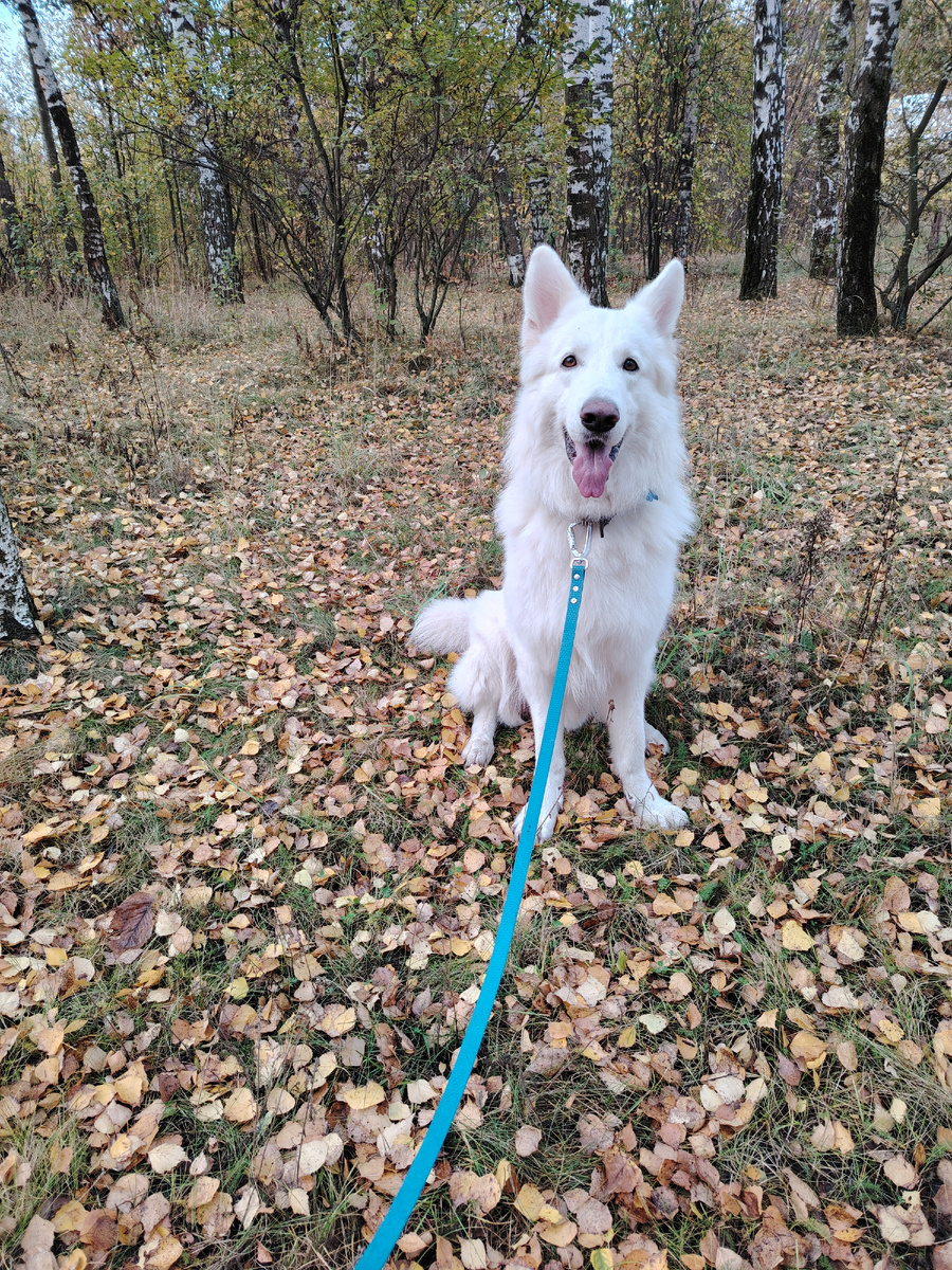 Сэмка улыбается. Доволен мамин симпатяга. 