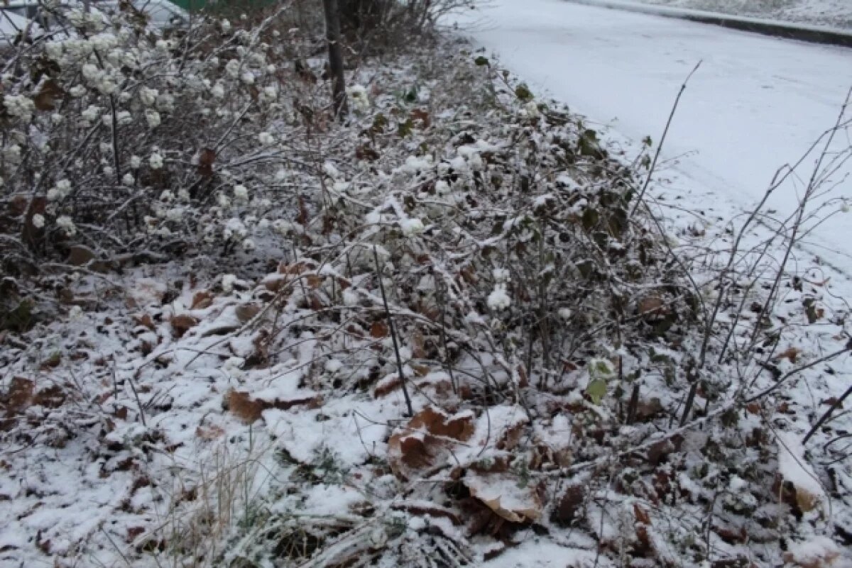    Синоптик Вильфанд назвал «виновника» снегопада на Урале