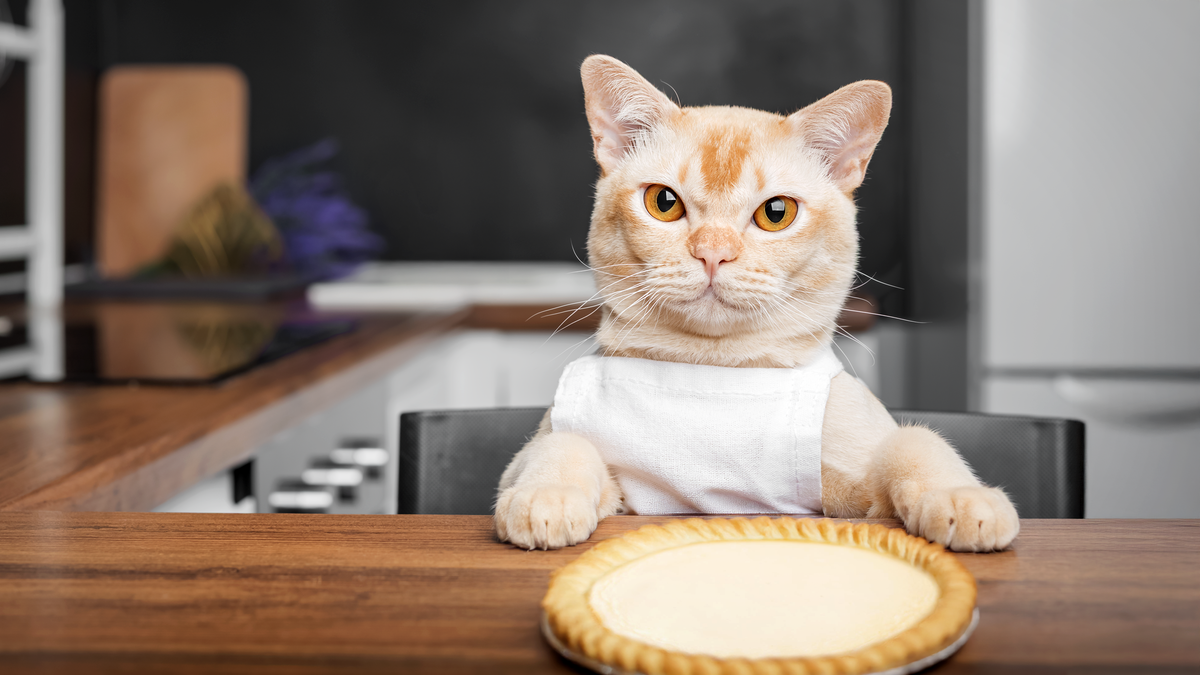 Главный дегустатор разрешает