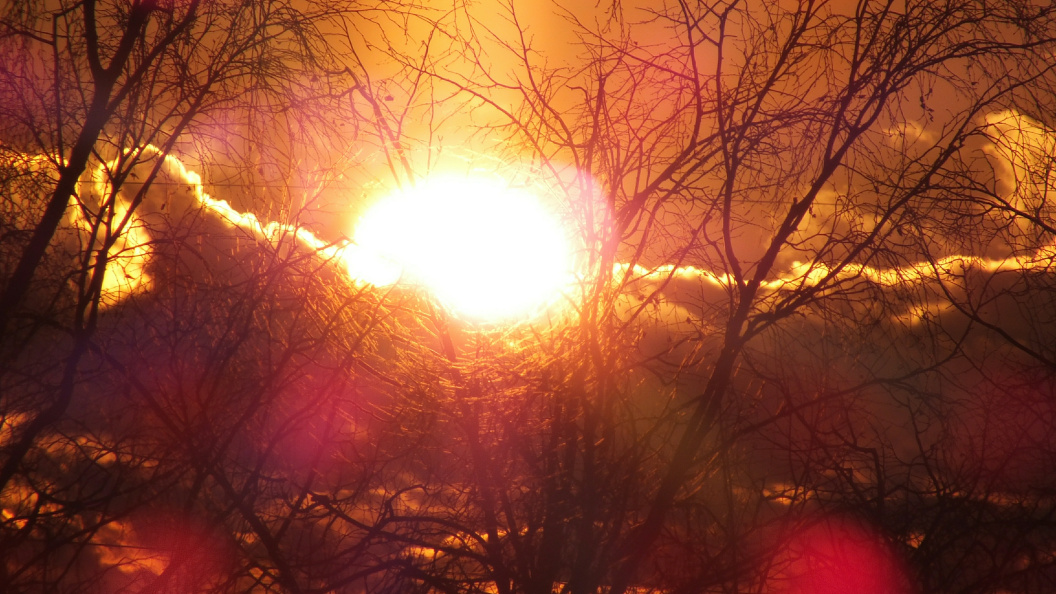    фото: Victor Lisitsyn/Globallookpress