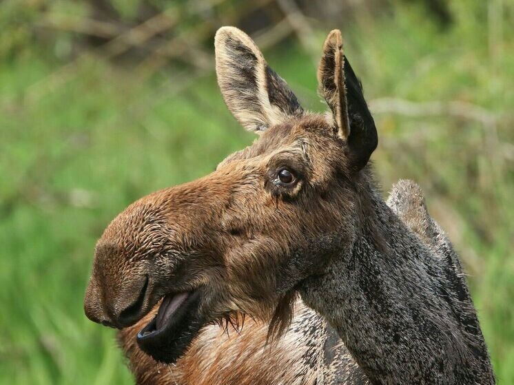     Фото МК в Карелии