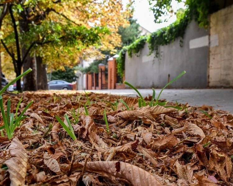     В Курской области 29 сентября ожидаются небольшие дожди