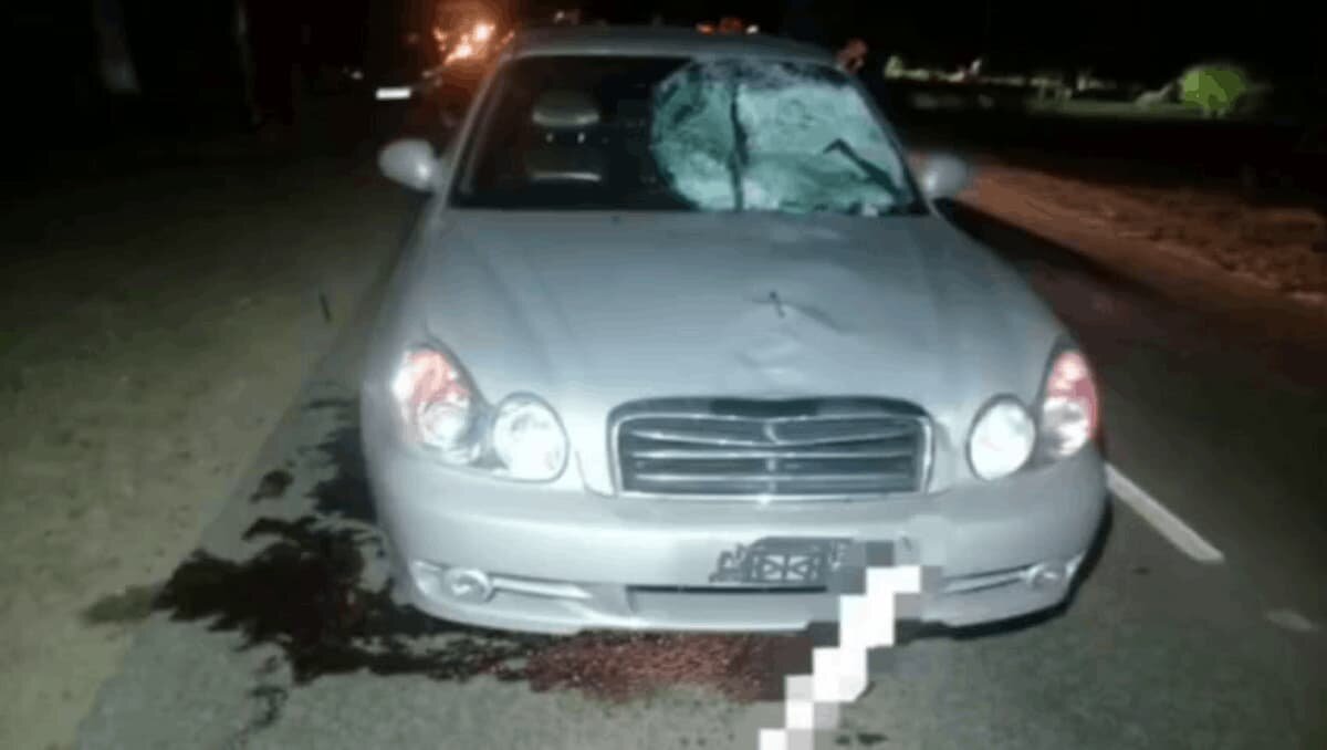    Фото t.me/gibdd123region