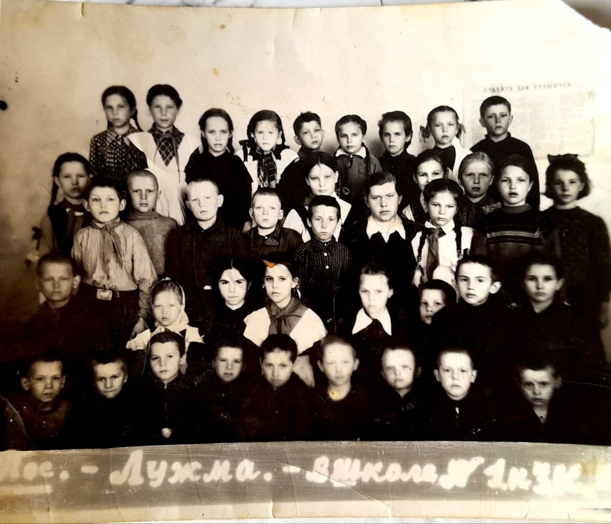 Фото школа СССР из личного архива семьи Суровцевых. Посёлок Лужма Плесецкого района. Школа №1. Первая учительница - Чернокова Валентина Александровна и ученики первого класса: Василий Карпов, Николай Хомко, Сергей Соколов, Анатолий Ломтев, Римма Шастина, Галина Суровцева, (?) Морозова, Нина Романова, Зинаида Кропина, Валерий Лёхов, Геннадий Мучницын, Владимир Кропин, Леонид Туинов, Владимир Бобров, Галина Макарова, (?) Шастина