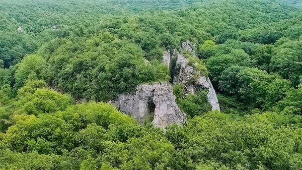    © РИА Новости Крым