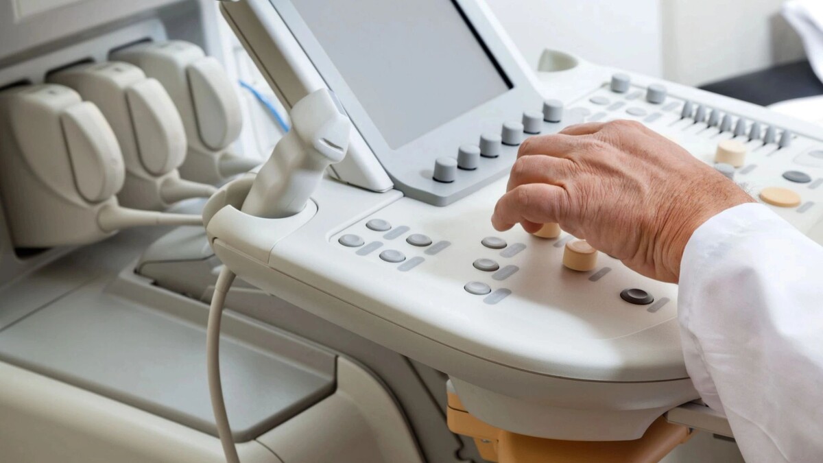    Фото: Tyler Olson/Shutterstock/Fotodom