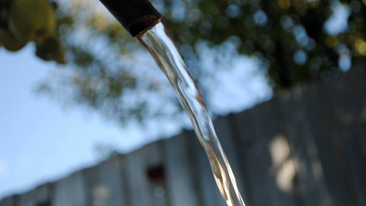    Фото: Сергей Егоров