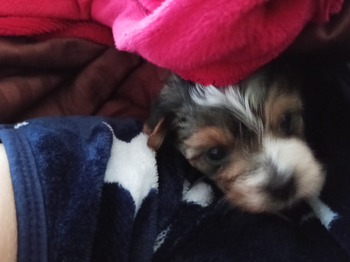 Фото автора.