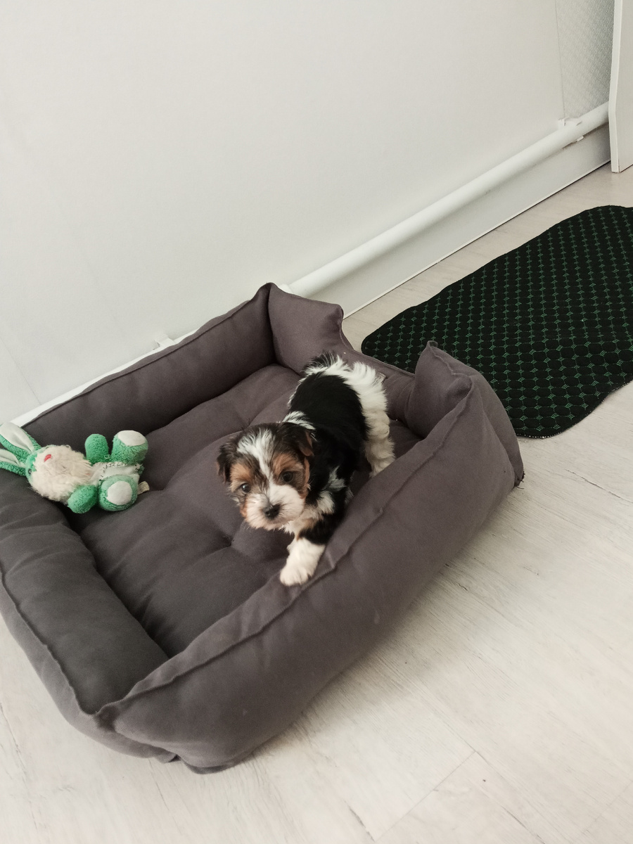 Совсем маленький пупсёнок, в ладошку помещается.