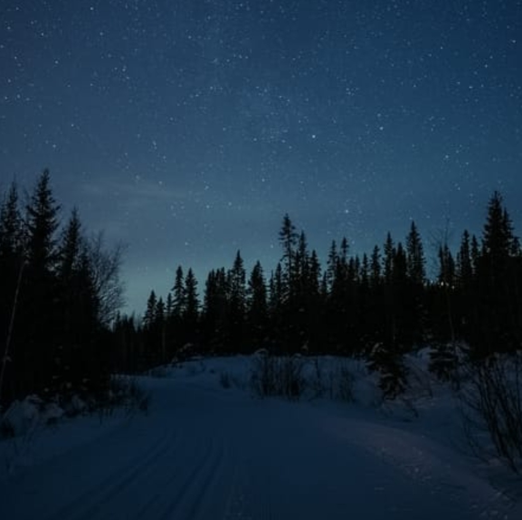 Гугл изображения. 