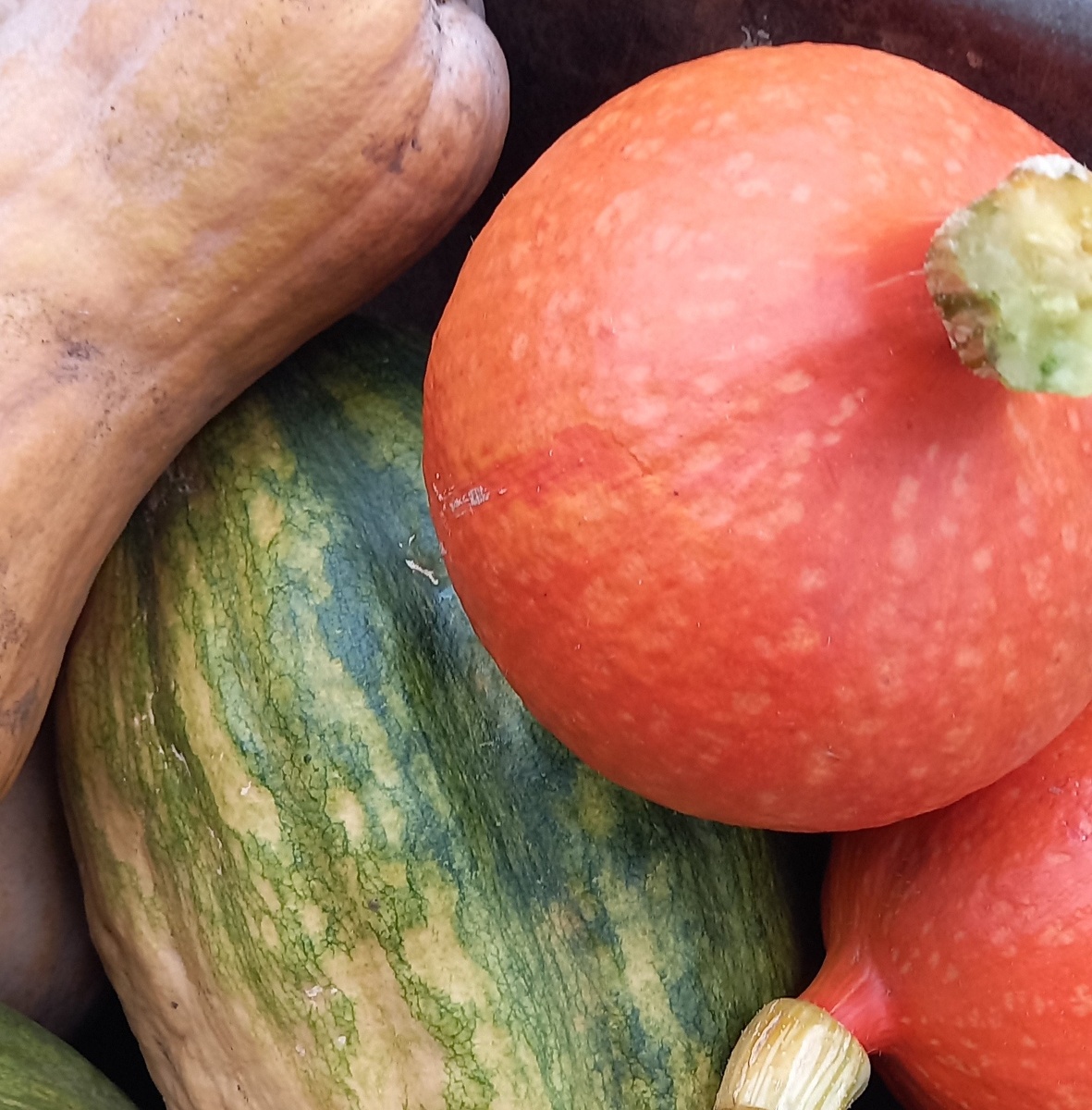 чем больше плоды, тем больше вынесли они питания