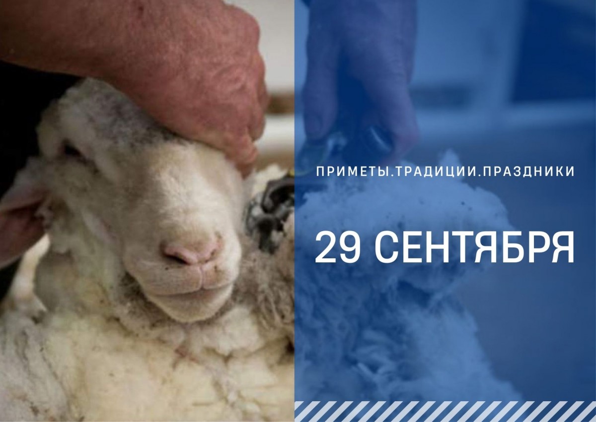   ГТРК "Ставрополье"