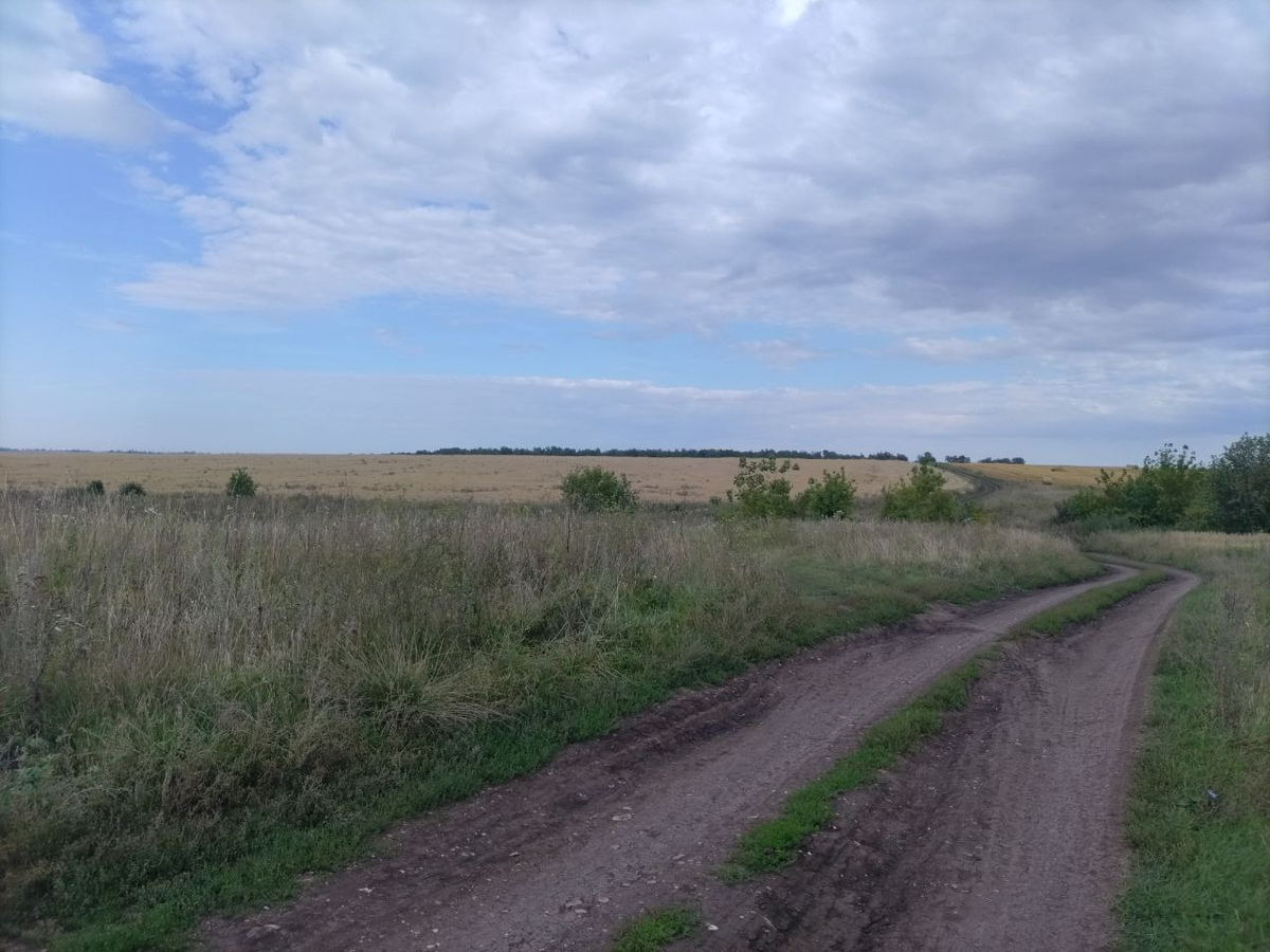 Фото автора.