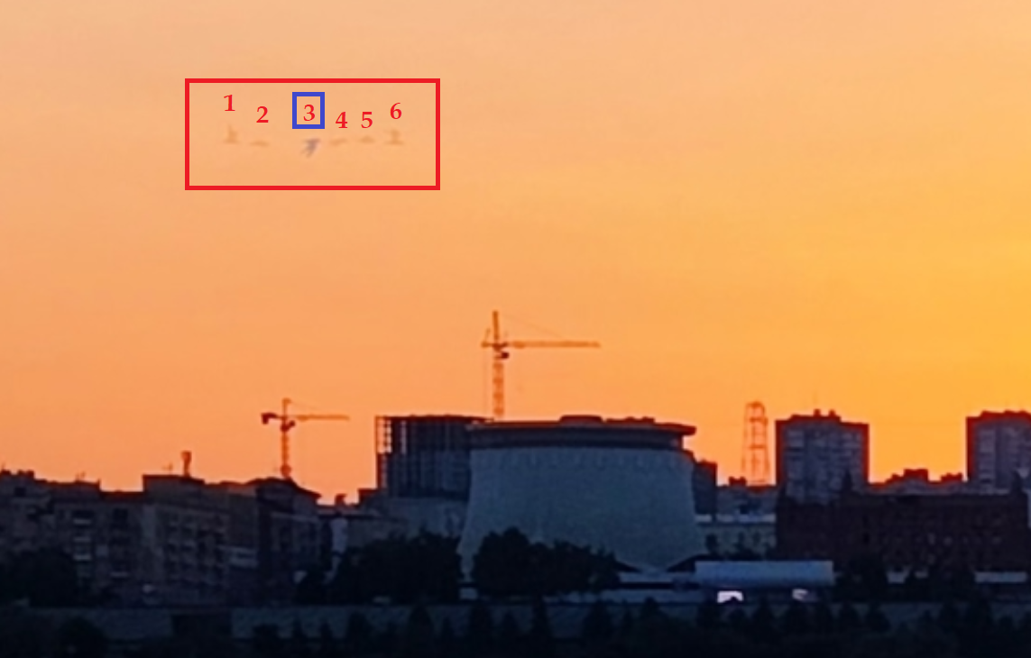 Центральный кадр птицы тоже немного размыт, но самый четкий.