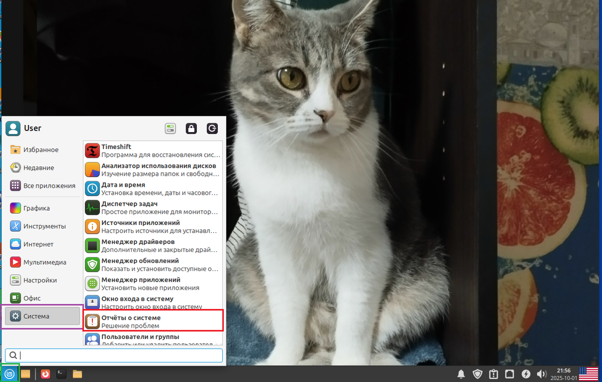 Linux Mint 22.1 "Xia"