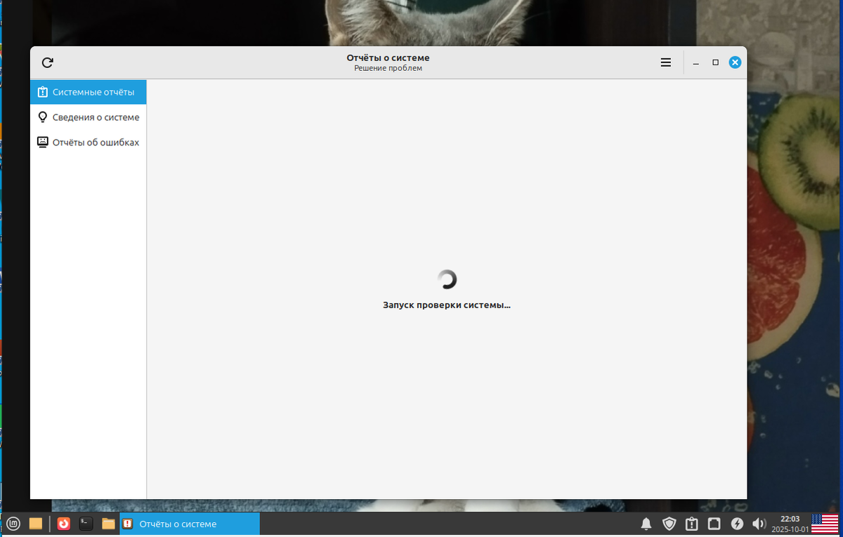 Окно "Отчеты о системе"