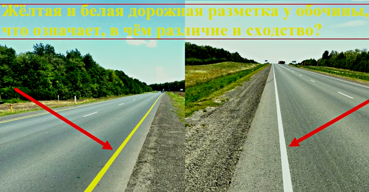 Источник фото: mavink.com