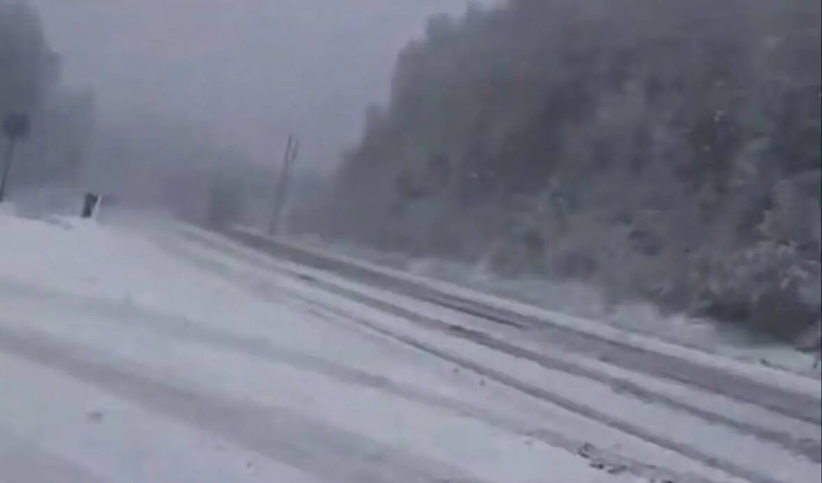    Фото: скриншот видео телеграм-канала «Челябинск №1»