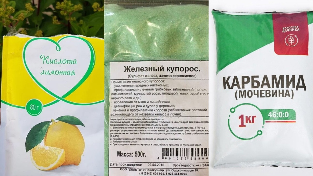 Весь арсенал для искореняющей обработки - 700 рублей против 15000 за сезонную химию