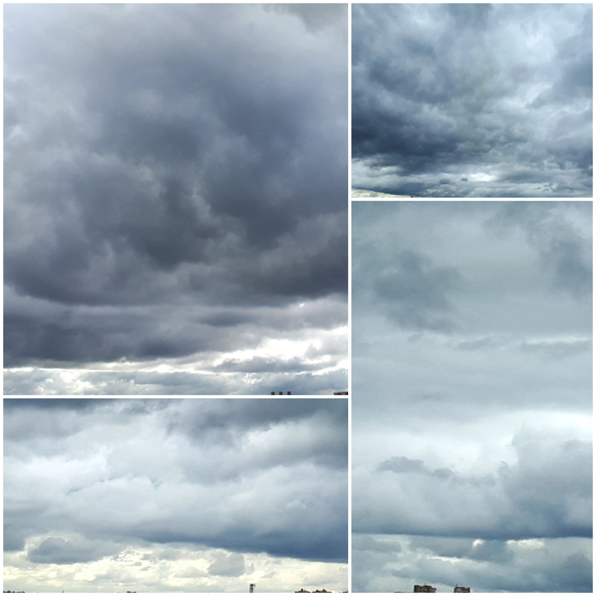 Коллаж автора 28.09.2025г.