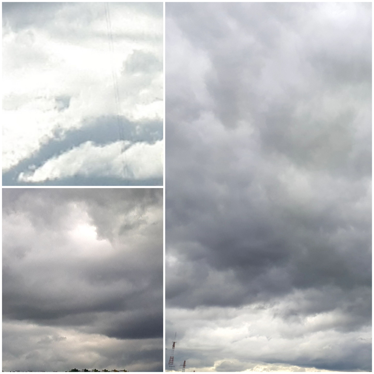 Коллаж автора 28.09.2025г.